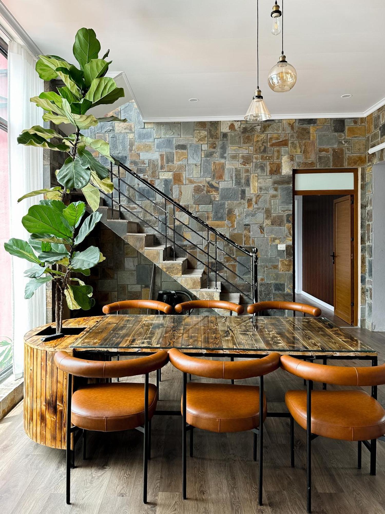 Bach Xanh House Apartment Tam Dao Exterior photo
